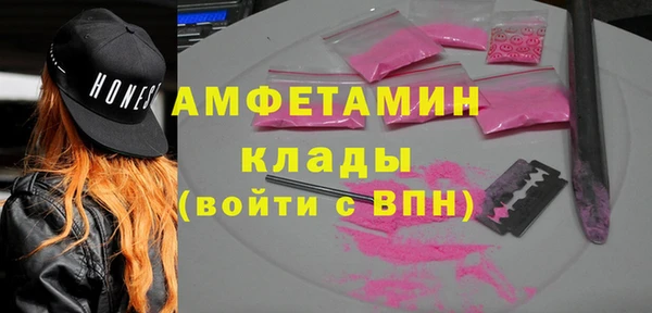 амф Бородино