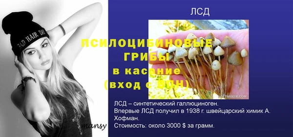 амф Бородино