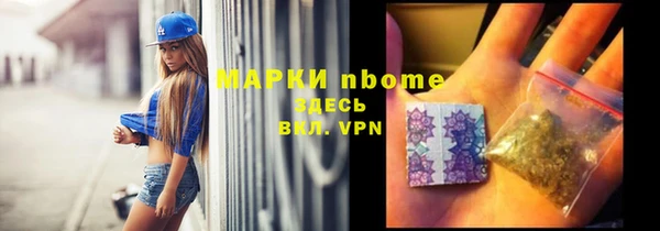 амф Бородино