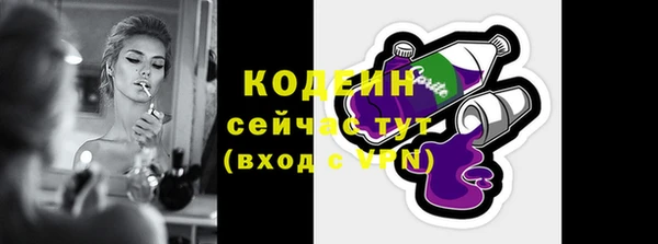 амф Бородино