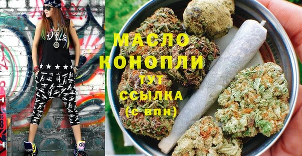 амф Бородино