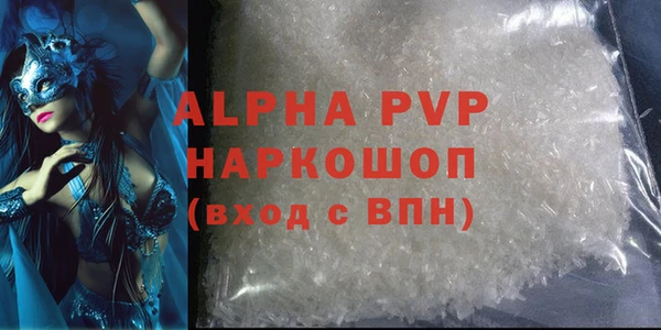 амф Бородино