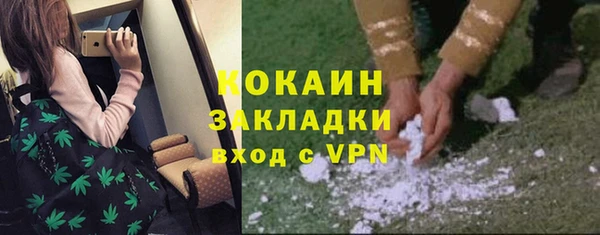 крисы Бронницы