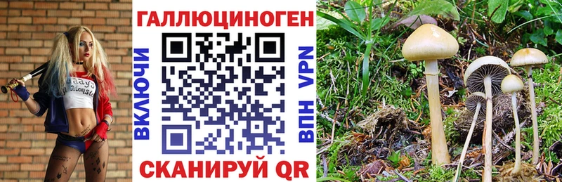 где можно купить наркотик  Новохопёрск  Галлюциногенные грибы мухоморы 